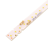 Optoelectronics - LED Lighting - COBs, Engines, Modules, Strips - SI-B8V101560US - Win Source Electronics