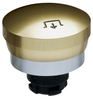 R program - RDRZ45 - Emergency stop latching pushbutton - RDRZ45GB - Schmersal Inc.
