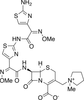 N-[2-Amino-α-(methoxyimino)-4-thiazoleacetyl] Cefepim.. - 19749 - Medical Isotopes, Inc.