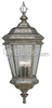 Four-Light Outdoor Hanging Lantern Fixture - P5574-50 - bulbs.com