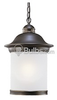 One-Light Outdoor Hanging Lantern Fixture - 69191PBLE-71 - bulbs.com
