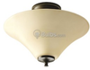 Close-to-Ceiling - P3855-20 - bulbs.com