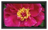 Professional 60-Inch XGA Plasma - P60XP10 - Visual Sound, Inc.