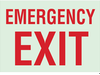 Glow-in-the-Dark Exit & Directional Sign - 90494 - Brady Corporation