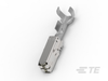 Automotive Terminals - 1703034-2 - TE Connectivity