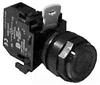 Illuminated Pushbutton -- E22TB2X4B - Image