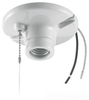 Incandescent Lampholder -- RL8816 - Image