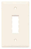 Datacommunication Face Plate -- TPD2-GRY - Image