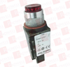 Pilot Light - 365304 - Radwell International