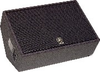 15 Inch 2-way Floor Monitor -- CM15V