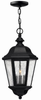 Exterior -Hanging - 259106 - Light Center (The)