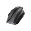 Mice -- 1759914 - Image