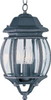 Exterior -Hanging - 398847 - Light Center (The)