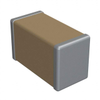 Capacitors - Ceramic Capacitors - 1339149-P21BNL300M5ST - Win Source Electronics