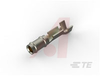 .058 DIA PIN REC .010GPPHBZ - 70083614 - Allied Electronics, Inc.