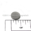 Disc Magnets (Axial) -- D040B - Image