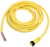 Cord, 7/8-16 Soc Contacts 4 Position Straight Plug; Connector Type A Molex - 31M6365 - Newark, An Avnet Company
