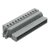 Male connector/plug - 231-612/019-000 - WAGO