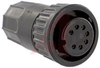 Connector; #20; Solder Cup; 7; Socket; Gold over Nickel; 0.365 in.; 600 V - 70025479 - Allied Electronics, Inc.