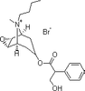 Scopolamine butylbromide - 16888 - Medical Isotopes, Inc.