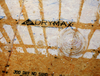 DryMax® High-Performance OSB - Georgia-Pacific Corporation