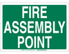Fire Assembly Point - 139635 - Brady Corporation