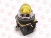 Pilot Light - 11706247 - Radwell International