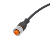 Female cordset - L33520 - ifm efector inc.