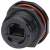 Category 6, Ruggedized Jam-nut, Anodized finish - T6C00011 - MilesTek Corporation