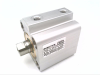 Pneumatic Cylinder - Radwell International
