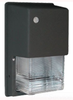 Outdoor Wall Light - WPTGHH100QT/PC - RAB Lighting
