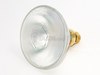 60 Watt, 130 Volt Halogen Food Service PAR38 Flood - 388843 - bulbs.com