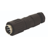 Circular Connector Assemblies - T3374502-ND - DigiKey