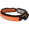 Flashlights -- 1742-56308-ND - Image