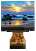 All Shore Industries, Inc. > Liquid Crystal Displays | - ASI-T-200CA2IN/D - All Shore Industries