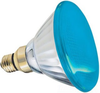 Standard Incandescent Lamp -- 100PAR/B/85WM6PK-120 - Image