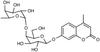 4-Methylumbelliferyl 4-O-(α-L-Fucopyranosyl)-β-D.. - 28861 - Medical Isotopes, Inc.
