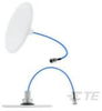 Antennas - CFSA35606P-30NF - TE Connectivity