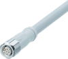 Connecting cable with socket - EVF612 - ifm electronic gmbh