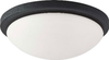 Flush Mounts-Bowl Style - 86015 - Light Center (The)