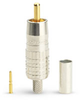 Canare RCA Male For L4CFB V4CFB 1505A - CANRCAPC4F - HAVE, Inc.
