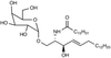 α-Galactosyl-C16-ceramide -- G184930 - Image