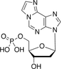 Etheno-2’-deoxy-β-D-adenosine 5’-Monophos.. - E890385 - Toronto Research Chemicals, Inc.