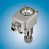 Hybrid Gas Density Monitor -- 8781/82/83 - Image