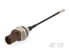 RF Cable Assemblies - 2550678-6 - TE Connectivity