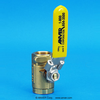 Vented Ball Valve - BVV-34F - ANVER Corporation