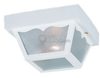 Two-Light Outdoor Ceiling Light Fixture - 7569-15 - bulbs.com