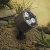 15731AZT Landscape Ltg.-Accent - 683510 - Capital Lighting, Inc.