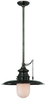 8820-HN Pendants-Other - 608368 - Capital Lighting, Inc.