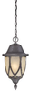 190079763 Exterior -Hanging - 399043 - Capital Lighting, Inc.